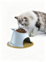 Cat Food Bowl